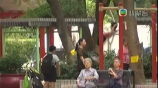 新聞透視 2015/11/18