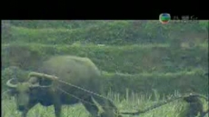 新聞透視 2006/10/21