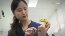 經緯線 《一屋異寵》2026/08/16