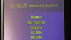 法証與人生 / 梁時中.