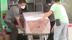 經緯線 《一人後事》2026/01/25