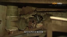 經緯線 《無鼠城市?》2026/09/20 經緯線 《無鼠城市?》2026/09/20