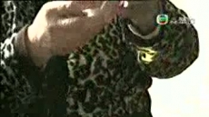 星期日檔案 2008/12/14