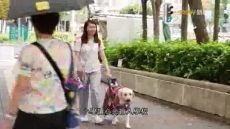 經緯線 《當狗狗進入食肆 / 看不見的旅程》2026/08/09