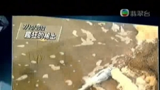 星期日檔案 2017/04/09